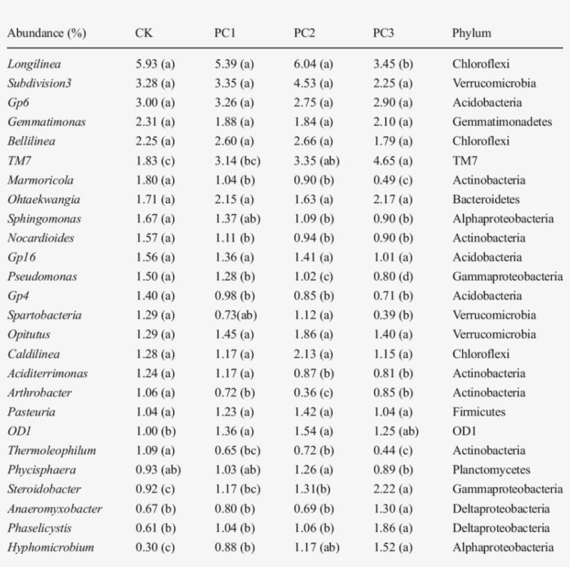 Abundance Of The Most Abundant Classified Bacterial - Income Statement Of A Gym, transparent png download