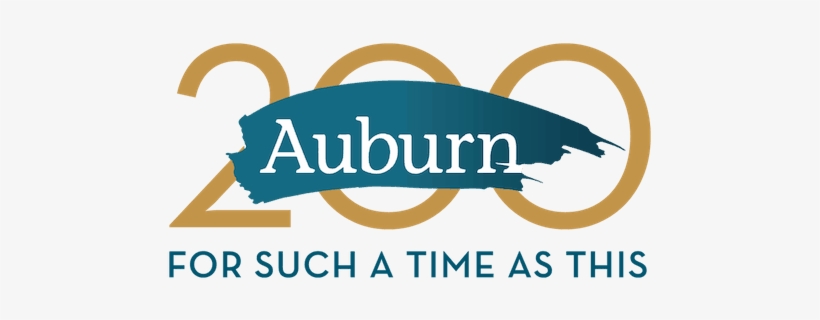 Trouble The Waters - Auburn Theological Seminary, transparent png download
