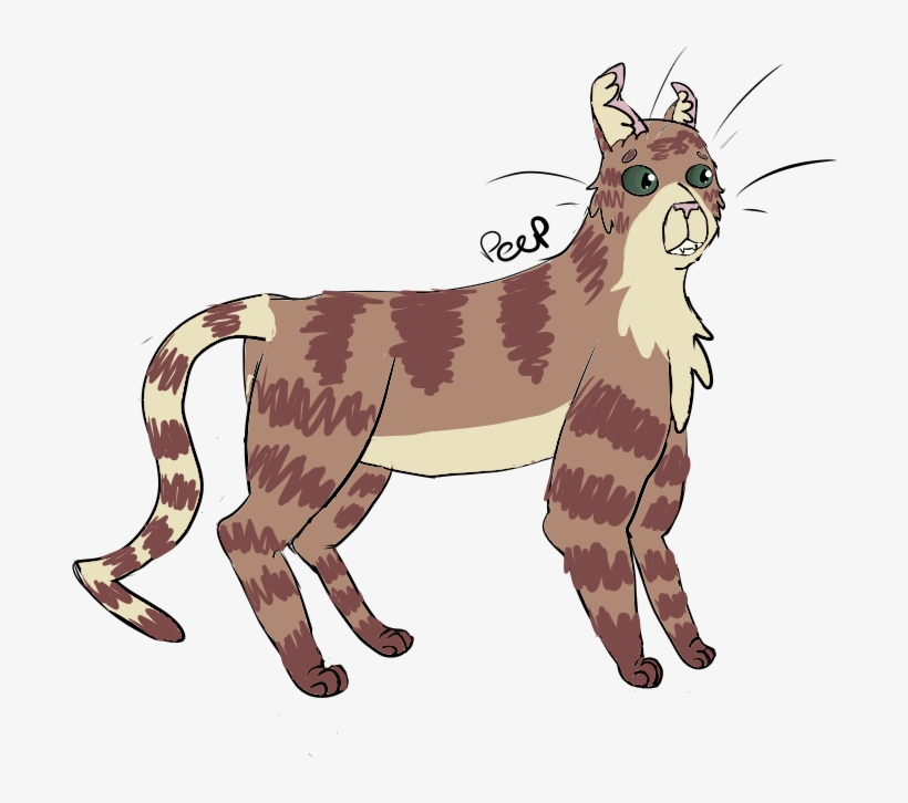 Curl - Big Cats, transparent png download