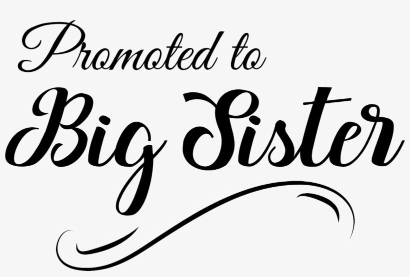 Promoted To Big Sister 1 - Psalms Wall Calendar By Leap Year Publishing, transparent png download