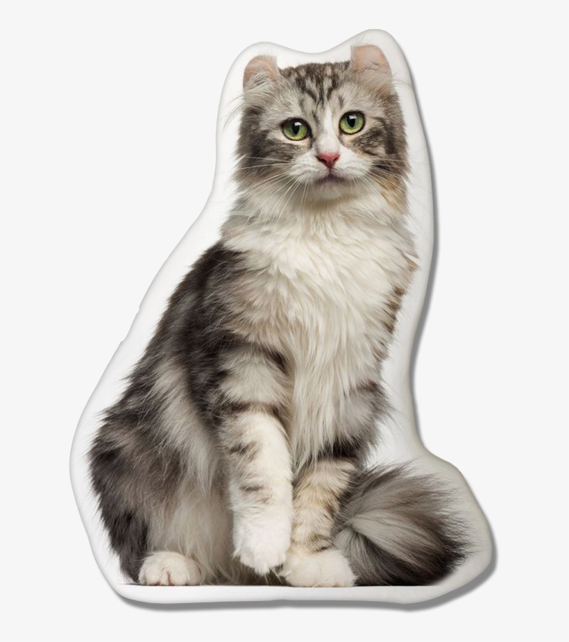 American Curl Pillow - Legowiska Dla Kota, transparent png download