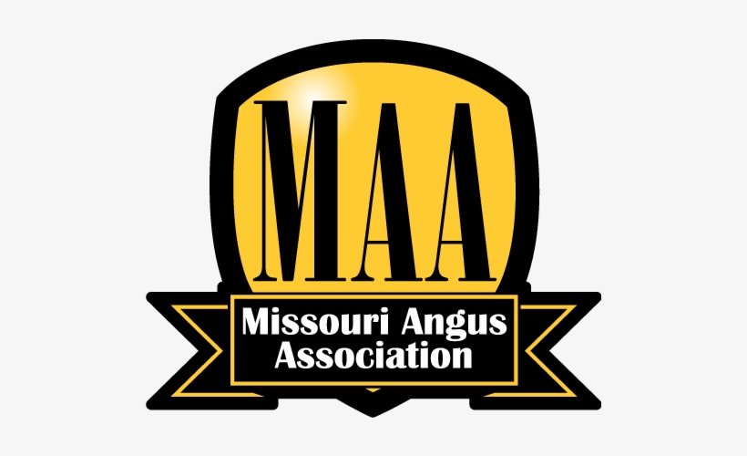 Logo Gold - Missouri, transparent png download