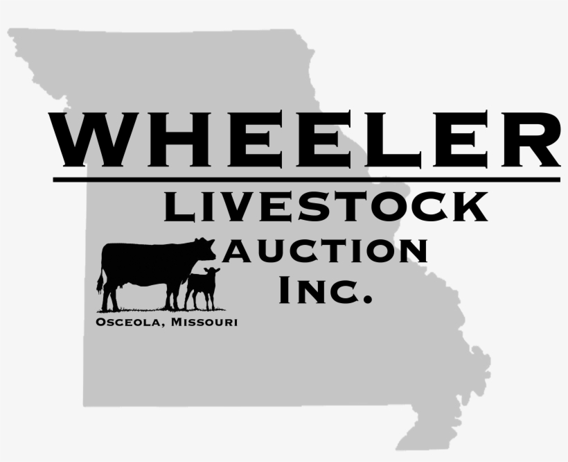 Weekly Summary Cattle Market Missouri Png Weekly Summary - Dairy Cow, transparent png download