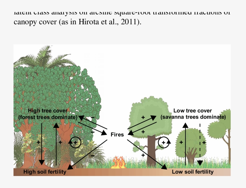 Relations Between Forest Tree Cover, Savanna Tree Cover, - Soil Fertility In Savanna, transparent png download