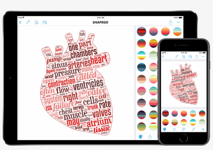 You Can Also Have Shapego Dimension The Words Accordantly - Iphone, transparent png download