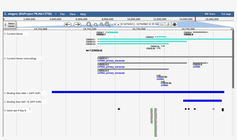 Object-oriented Programming, transparent png download