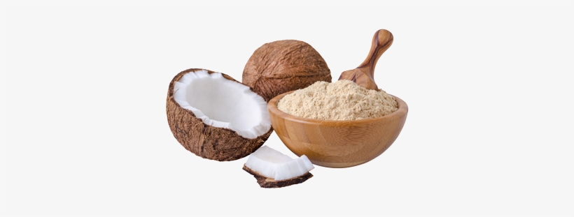 Mscpi Coconut Flour Production - Coconut Flour Png, transparent png download