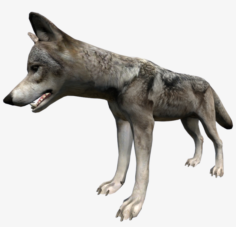 Dayz Wolves, transparent png download