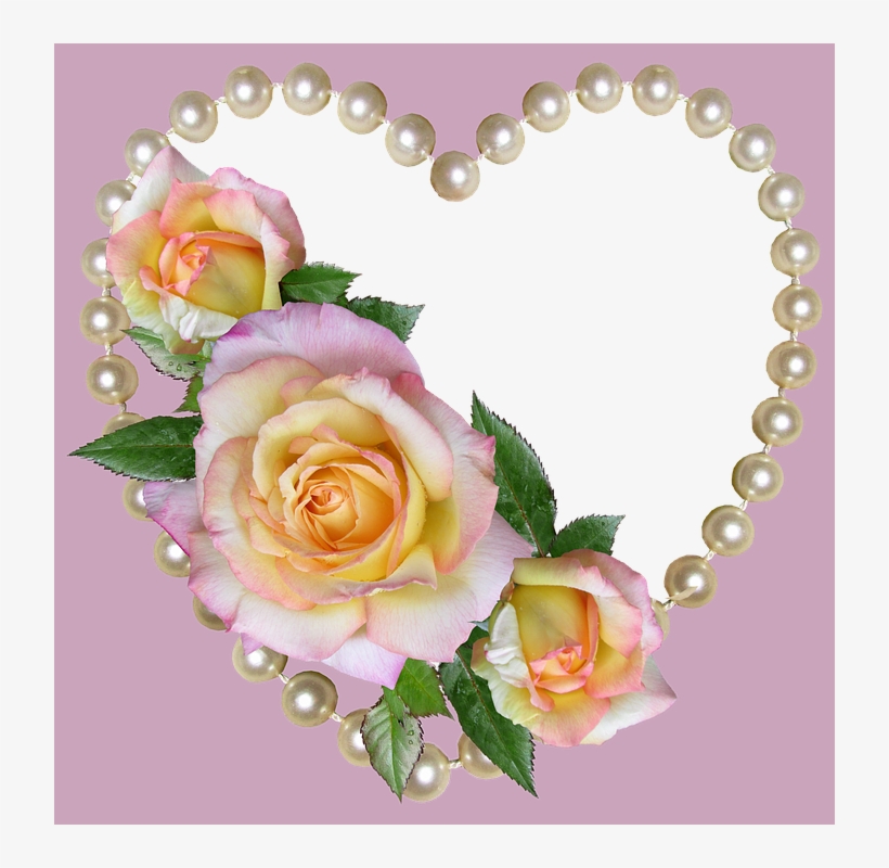 Roses, Decoration, Card, Design - Design, transparent png download