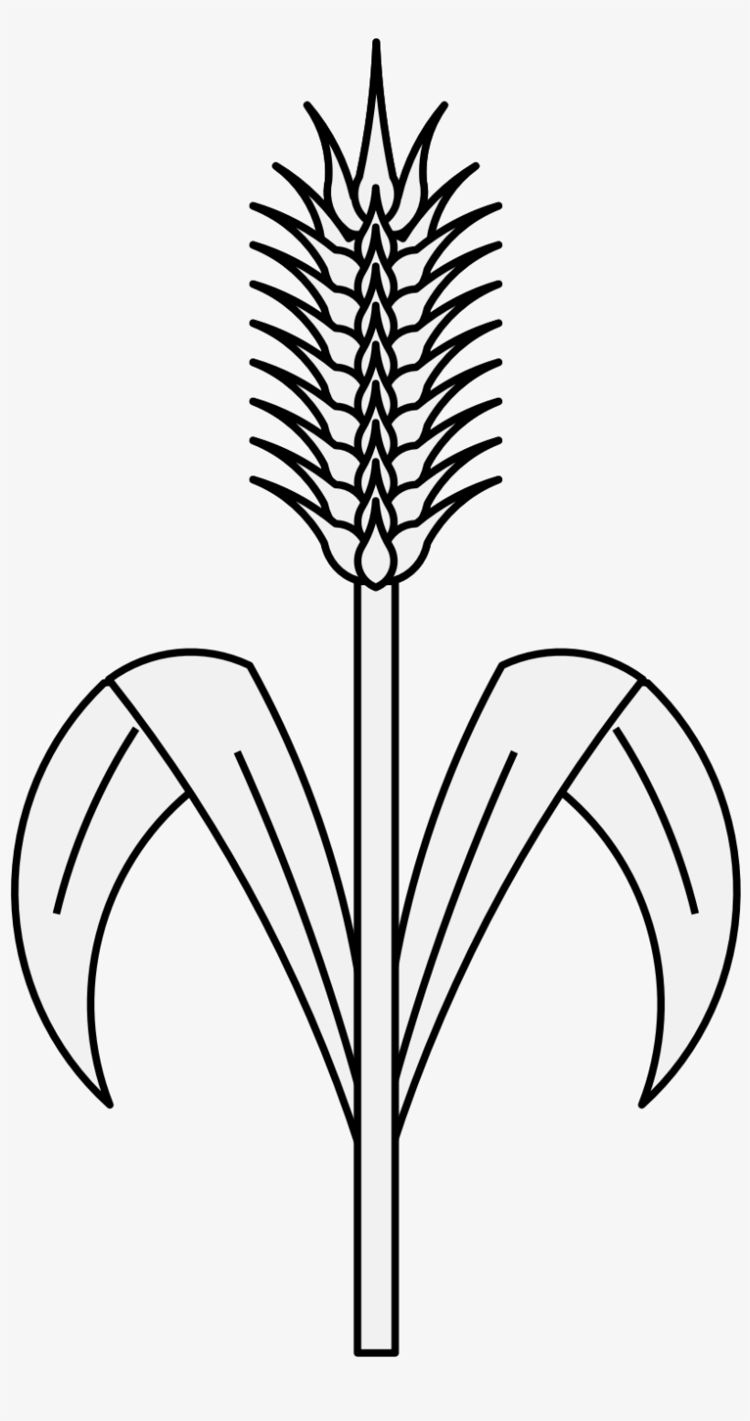 Details, Png - Traceable Wheat, transparent png download