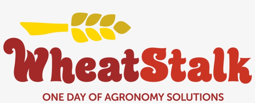 Wheat Stalk - Alberta Wheat Commission, transparent png download