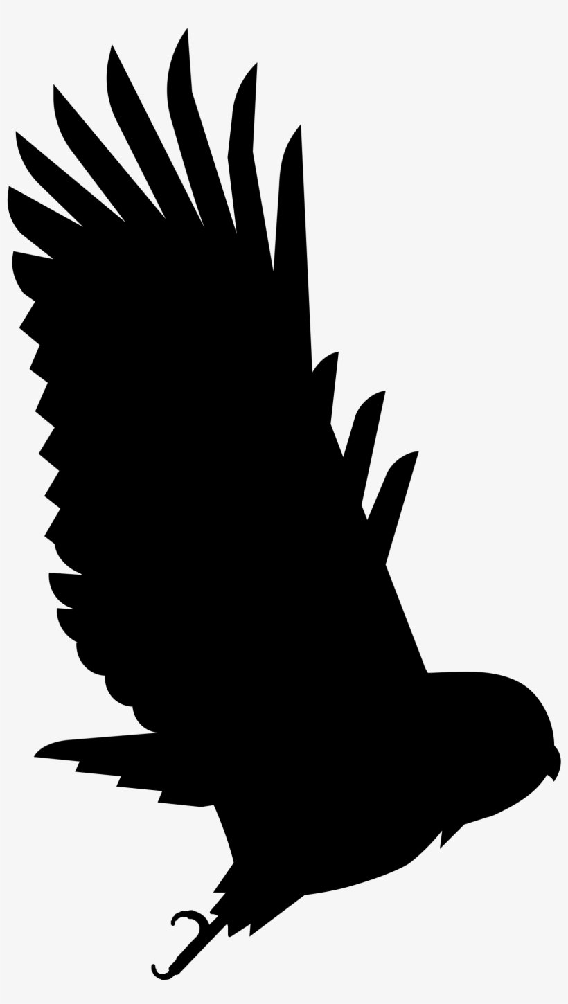 Cropped Onevision Instagram - Eagle, transparent png download