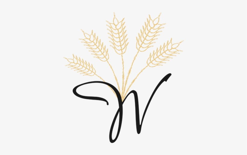 Logo, transparent png download