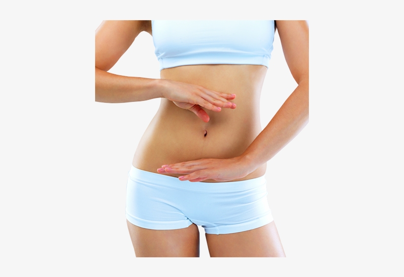 Body - Estomago, transparent png download