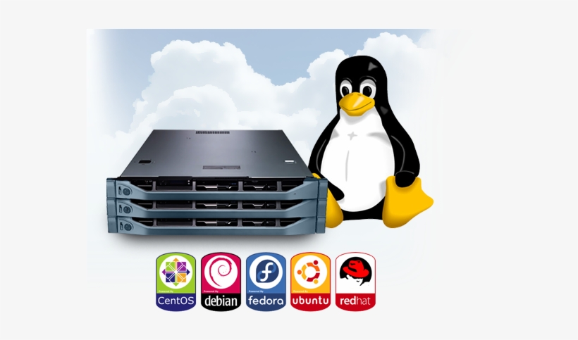linux hosting windows mac os linux android transparent png 575x454 free download on nicepng linux hosting windows mac os linux