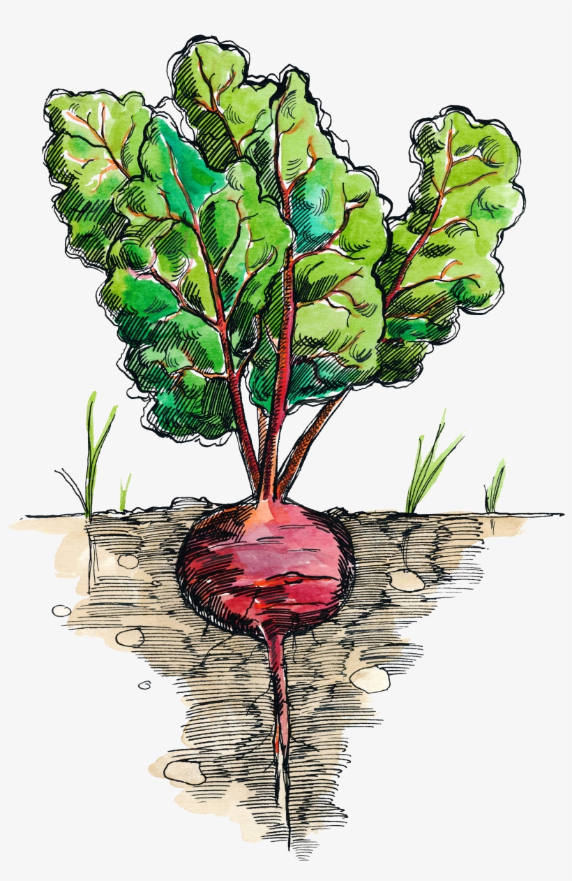 Illustration - High School Lunch December 2017, transparent png download