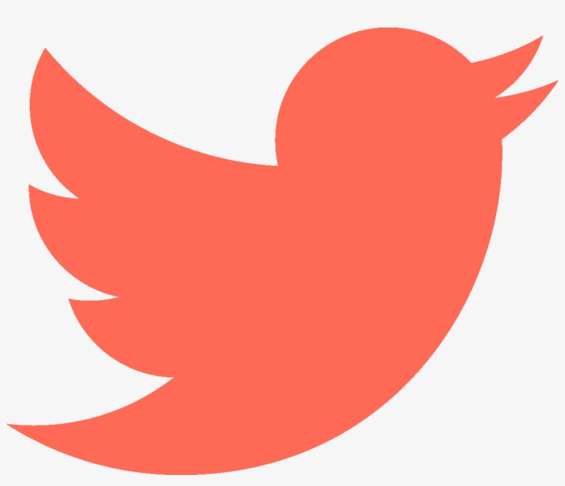 In One Year, Spending An Extra £0 - Twitter Logo Vector Png, transparent png download