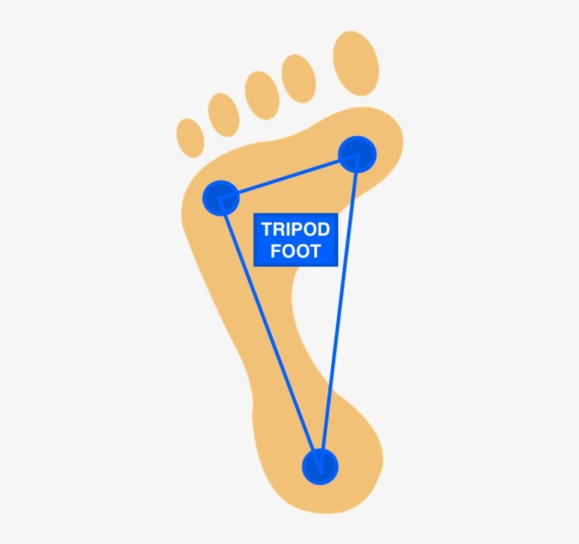 That Being The Case, Its A Good Idea When Training - Foot, transparent png download