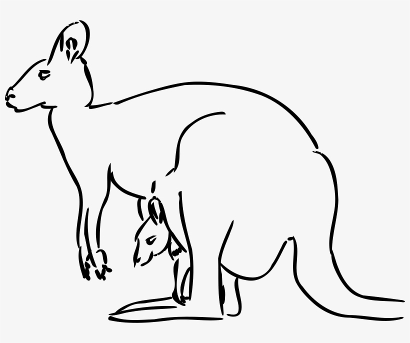 Kangaroo Clip Art, transparent png download
