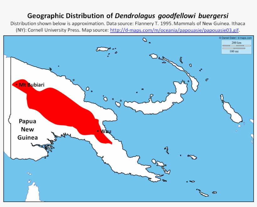 Click Here For - Tree-kangaroo, transparent png download