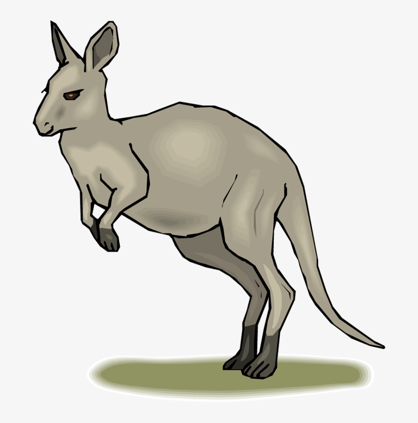 Grey Kangaroo Clipart, transparent png download