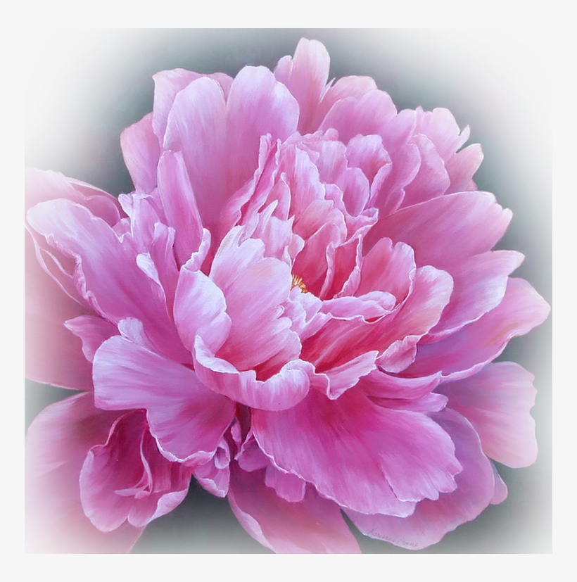 The Latest News About Opera Web Browsers, Tech Trends, - Peony Painting, transparent png download