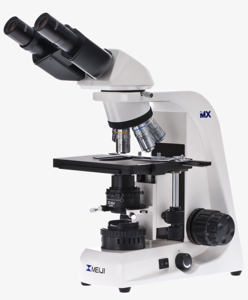 Biological Microscope - Meiji Techno Mt4000, transparent png download