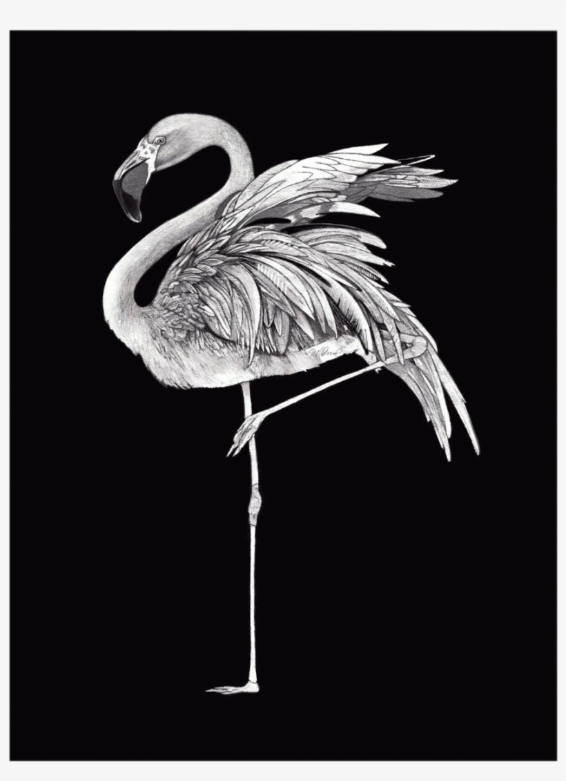 Premium Giclee Paper This Is A Thick Heavy Weight (310g - Black & White Flamingo Kussenhoes Katoen/flanel, transparent png download