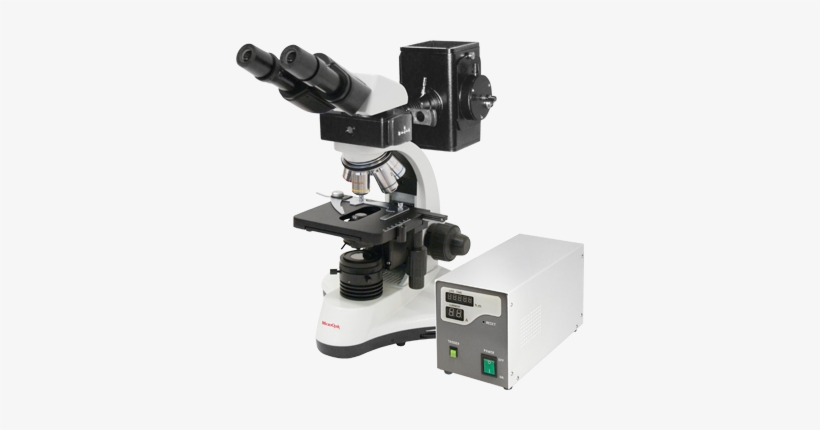 Mx 300 / Mx 300 (tf) - Флуоресцентный Микроскоп, transparent png download