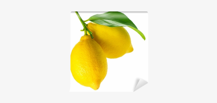 Lemon Isolated On White - Painting, transparent png download