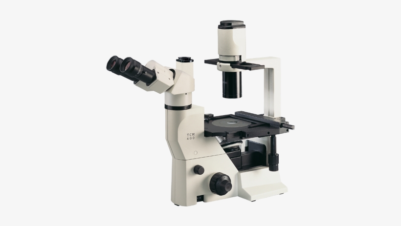 Inverted Microscope - Labomed Tcm400, transparent png download