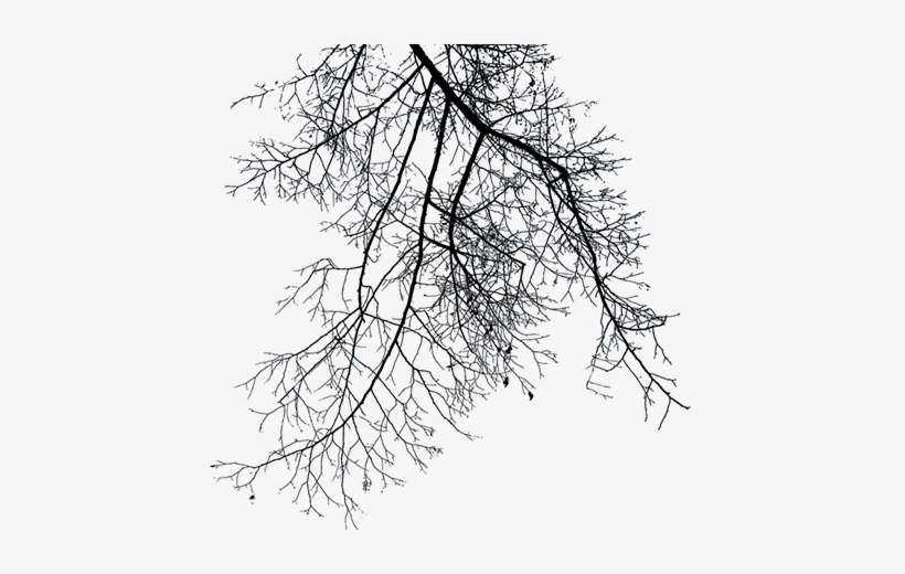 Efeitos Dark Png - Png Arvore Dark, transparent png download