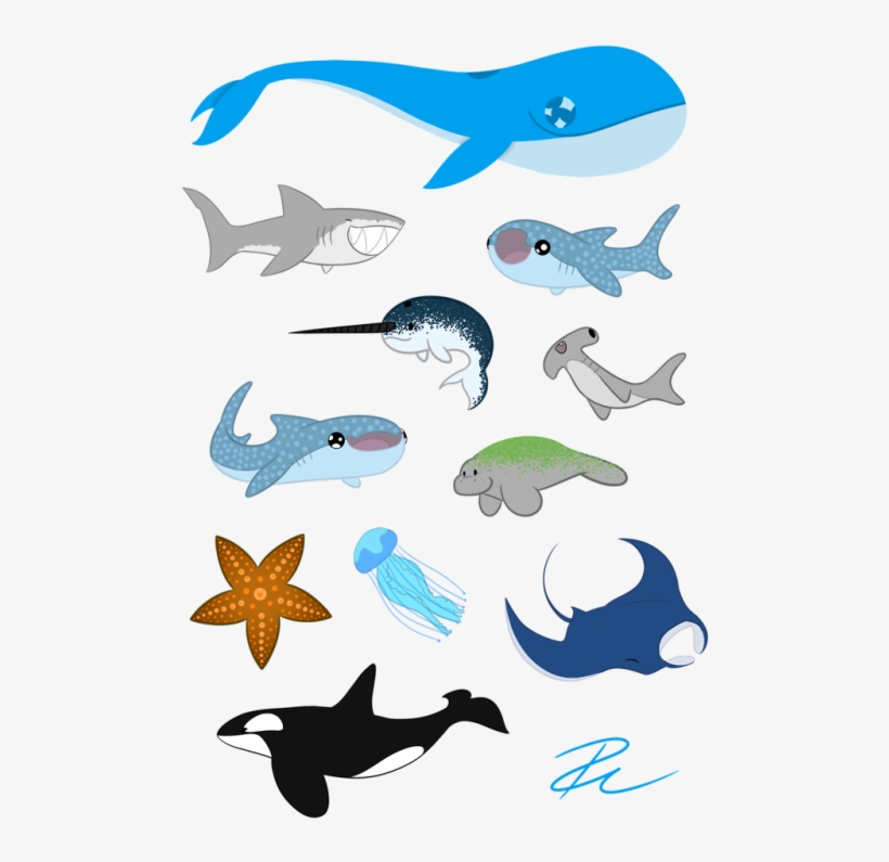 Look At All These Sea Babies, transparent png download