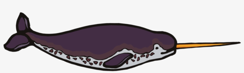 Narwhal, transparent png download