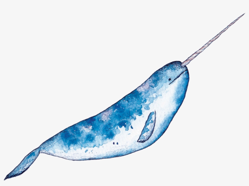 Narwhal1, transparent png download