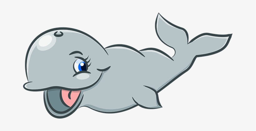 Animal Cartoon Cute Mammal Sea Whale Carto - การ์ตูน สัตว์ ทะเล Png, transparent png download