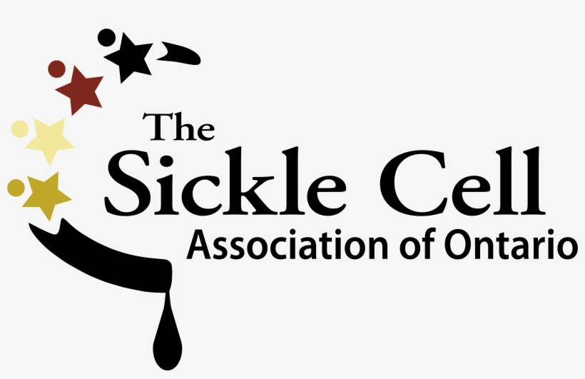 Sickle Cell Association Of Ontario, transparent png download