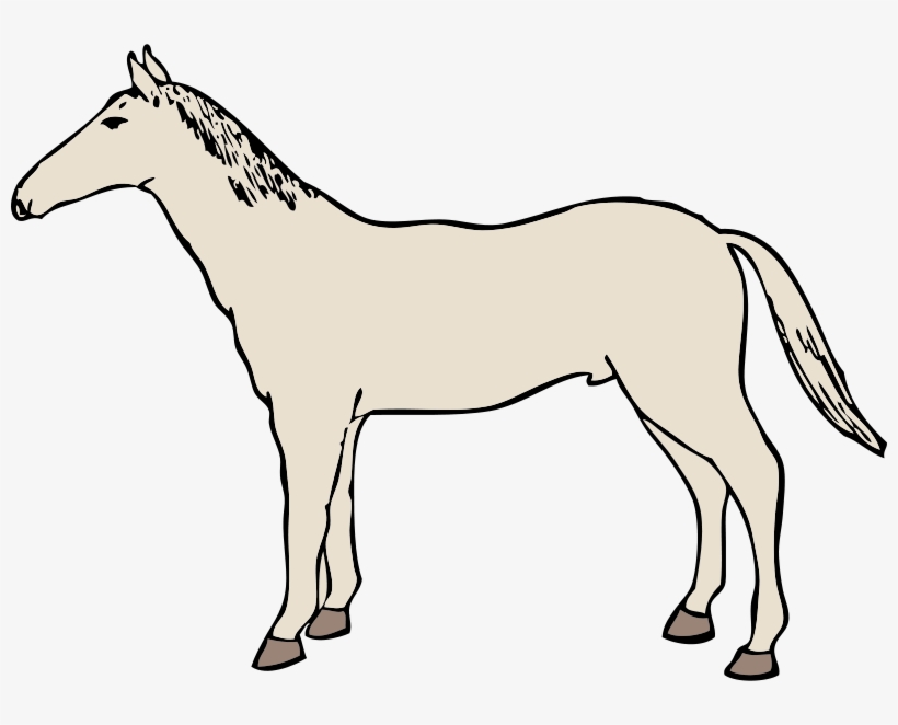 Horse Drawing Shower Curtain, transparent png download
