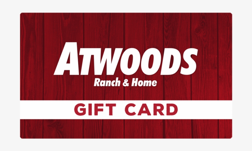 Skip To The Beginning Of The Images Gallery - Car Shoe, transparent png download