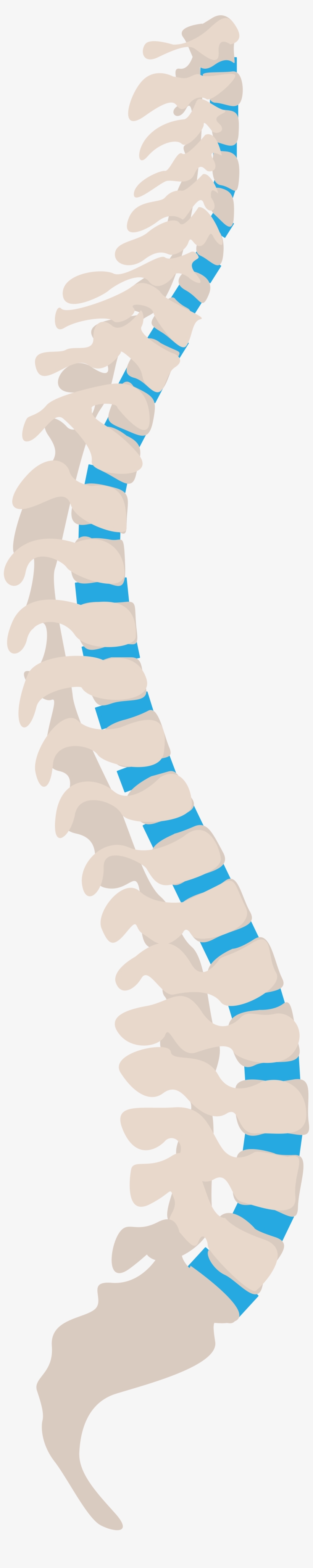 Open - Spine Tips For Health Workers, transparent png download