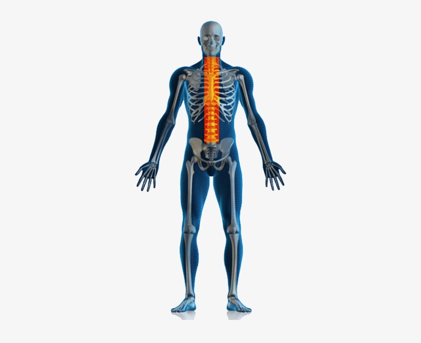 Physiotherapy All Body Pain, transparent png download
