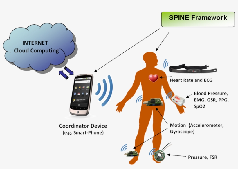 Sensor Platforms - Polar Heartrate‐sensor‐set T31 Coded, transparent png download