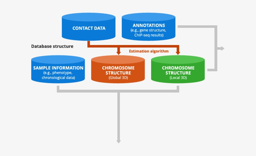 Figure - Diagram, transparent png download