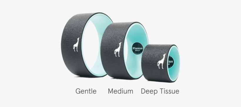 3 Wheel Pack - Plexus Wheel, transparent png download