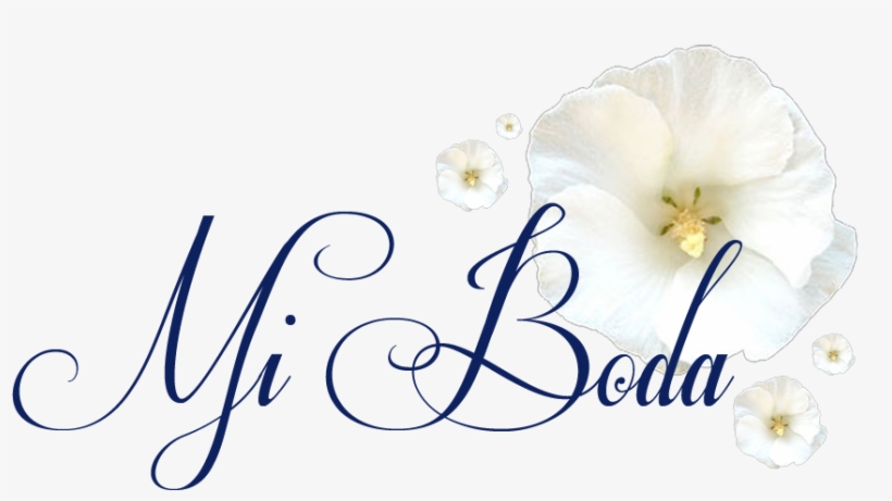 Qty 8: The Beauty Of Life - Women's Choir Sheet Music, transparent png download