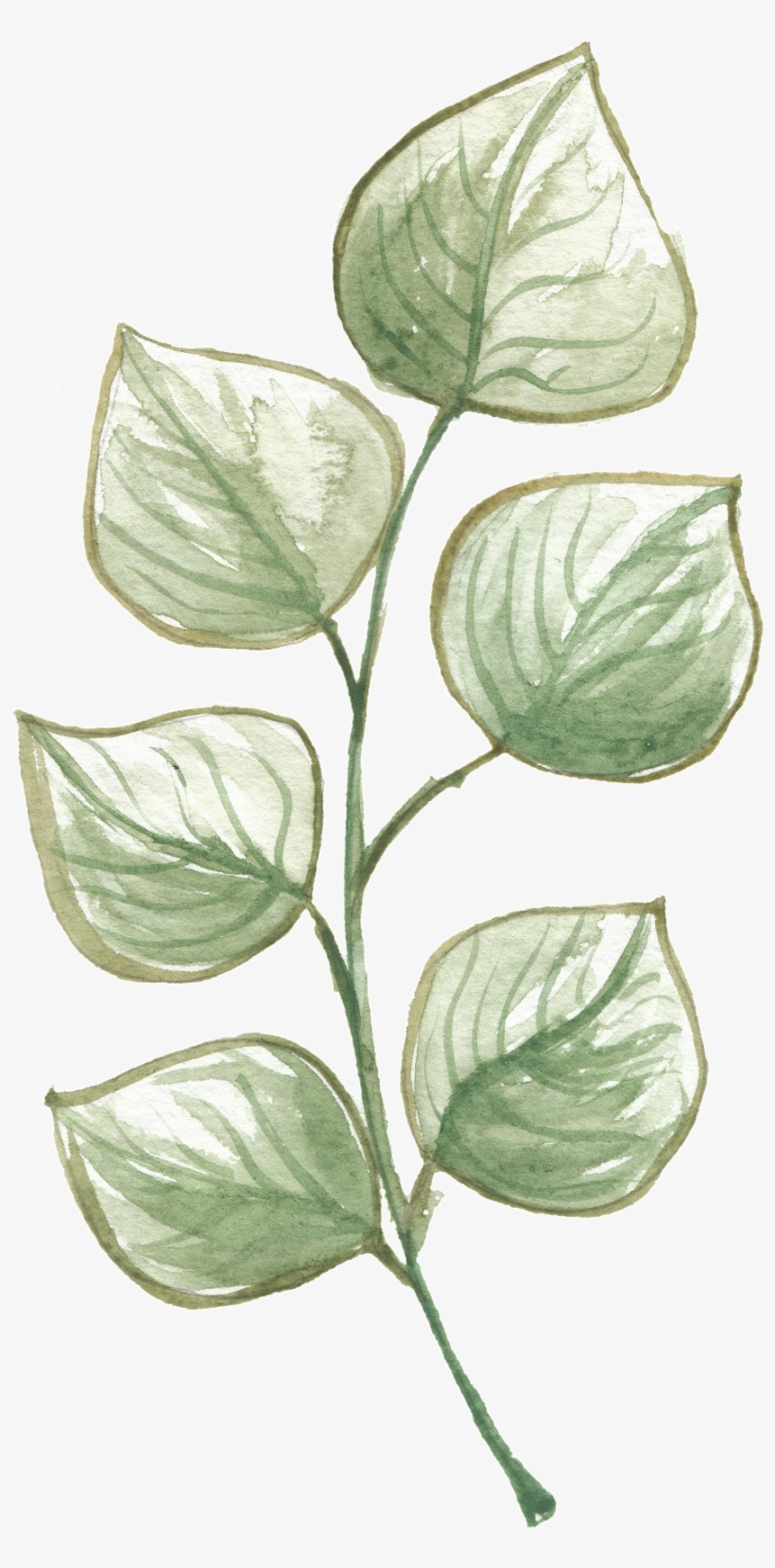 Hand-painted Leaves Free Texture Png - Portable Network Graphics, transparent png download