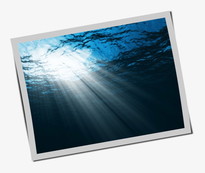 The Following Is An Example Using A Googleimage Search - Adams J. L.: Become Ocean Cd, transparent png download