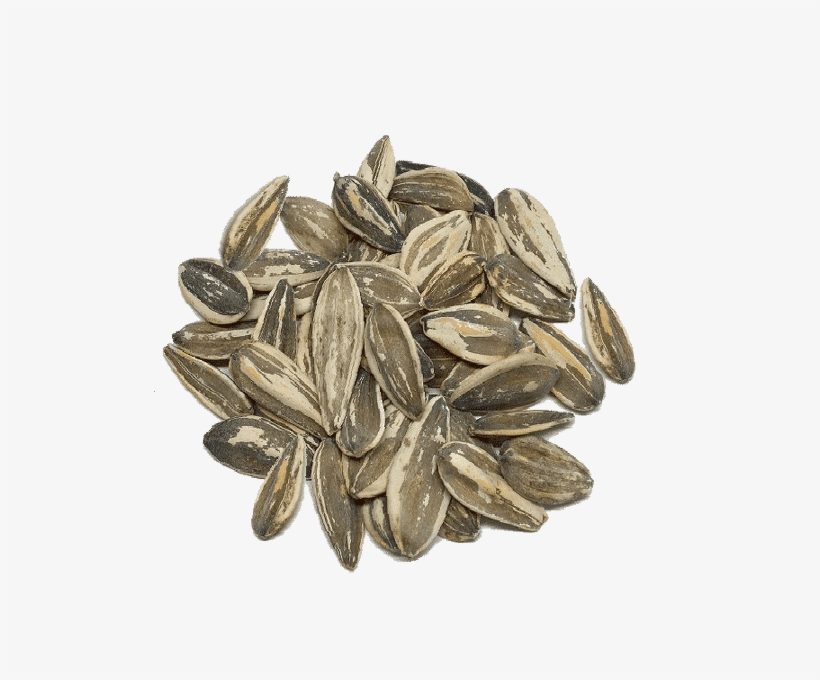 Semillas De Girasol Tostadas - Sunflower Seed, transparent png download