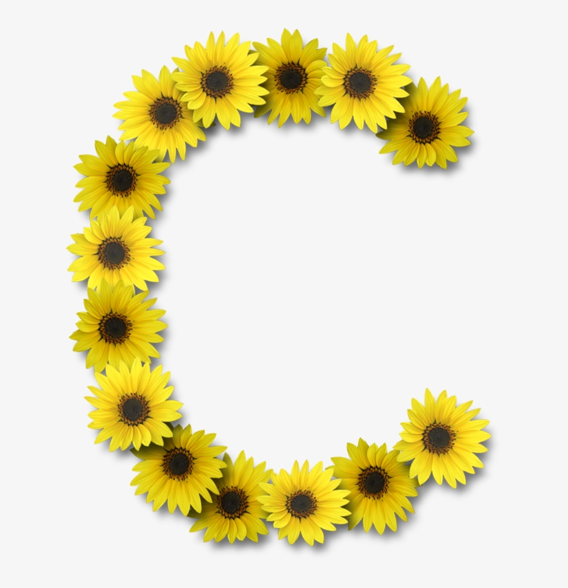 Alfabeto Florido Girassol Png - Sunflower Letter O, transparent png download