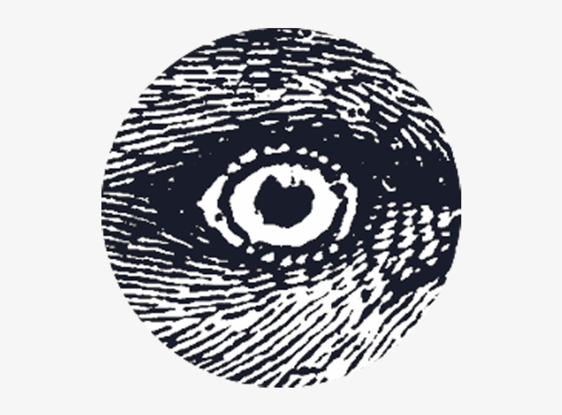 Gerardo Vilches Y Octavio Beares Son Dos Inquietos - Comics, transparent png download